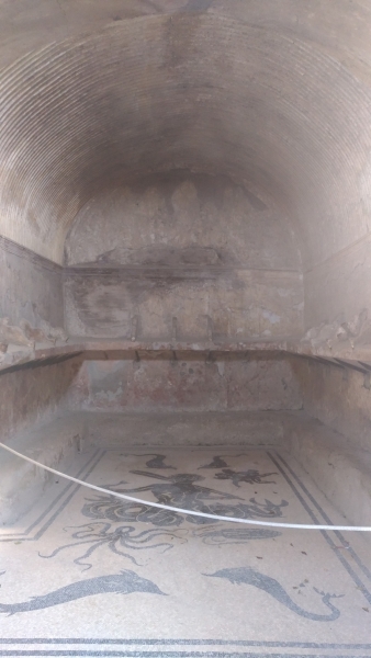 42.Ercolano